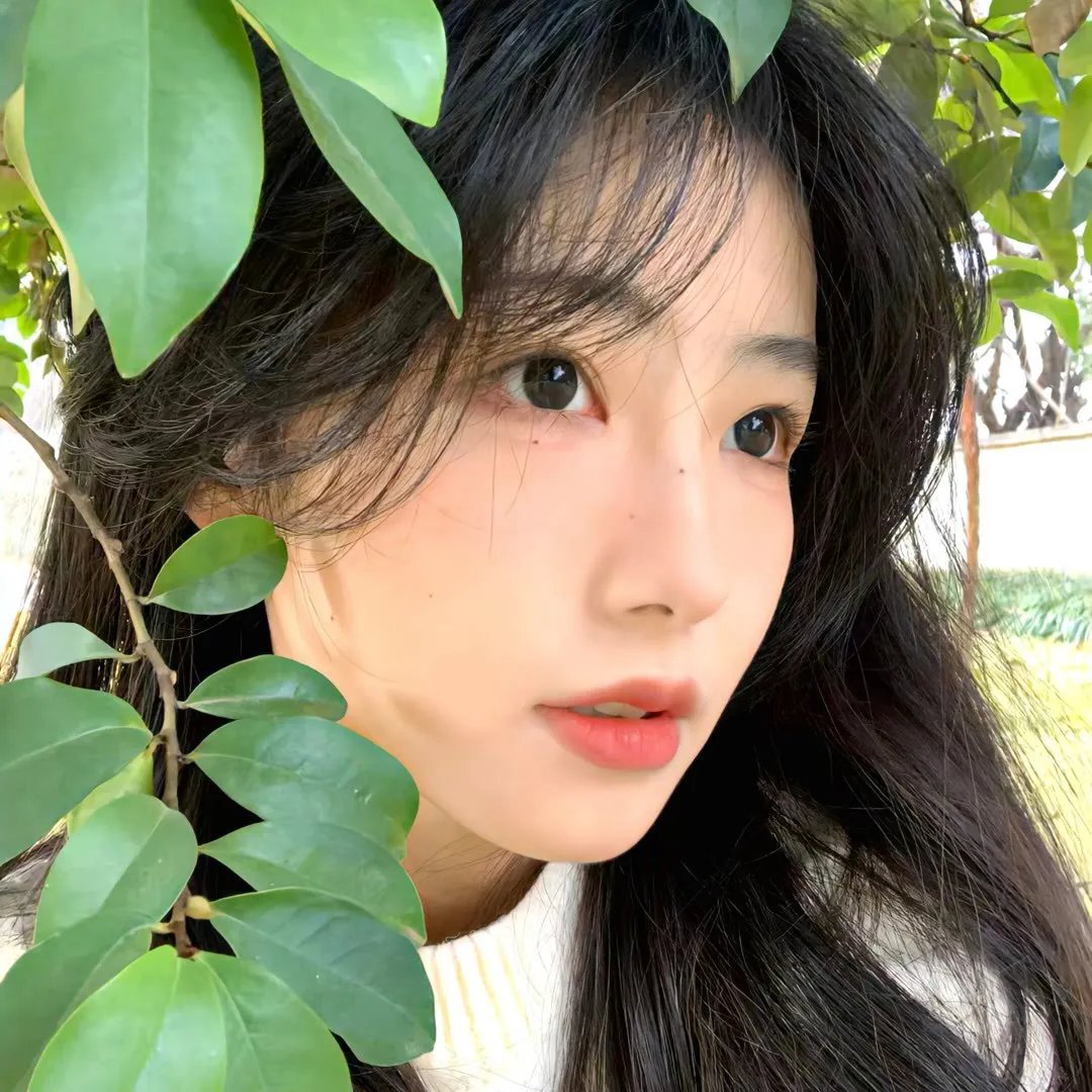 冷月